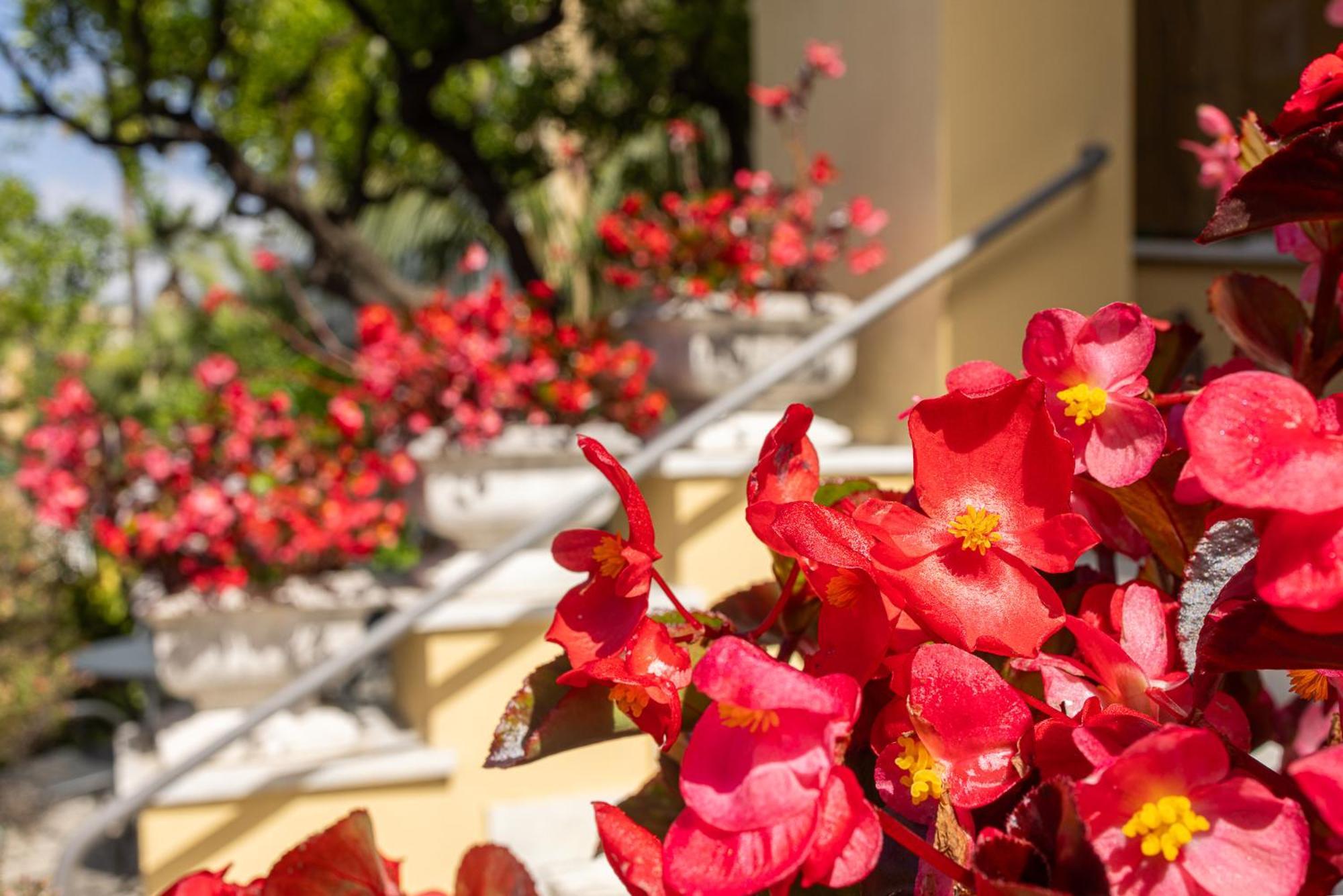 Hotel Villa Elisa & Spa Bordighera Εξωτερικό φωτογραφία
