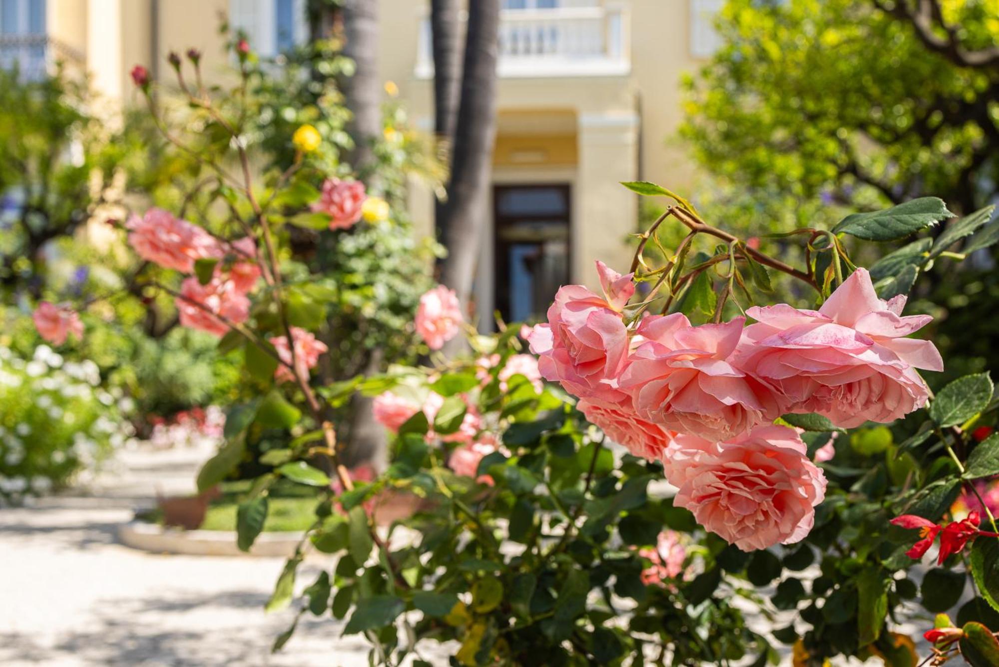 Hotel Villa Elisa & Spa Bordighera Εξωτερικό φωτογραφία