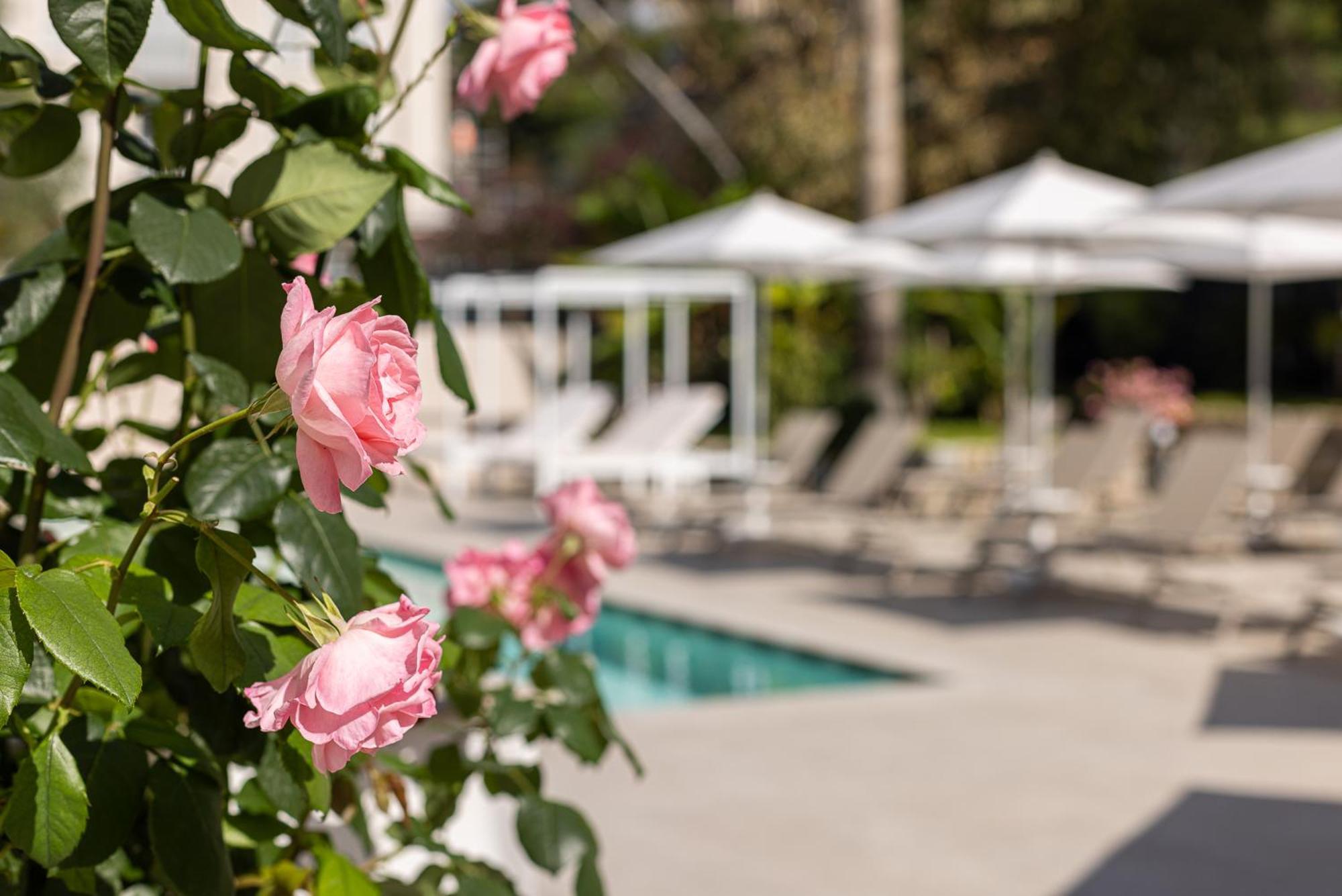 Hotel Villa Elisa & Spa Bordighera Εξωτερικό φωτογραφία
